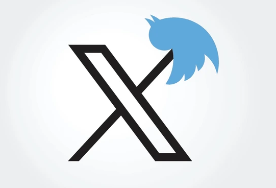 X logo with dead bird impaled on the top right part of the X